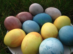 Yellow, blue, and dark pinkish brown eggs