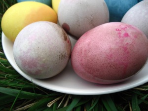 Pinkish-brown eggs